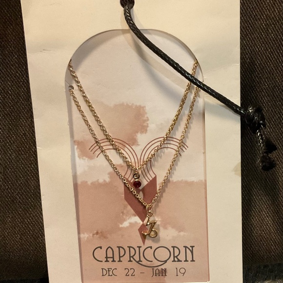 Urban Outfitters Jewelry - NWT Urban Outfitters Capricorn ♑️ Zodiac Charm & Birthstone Necklace